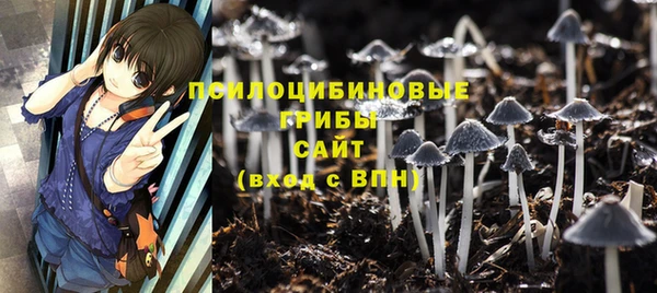 каннабис Арсеньев