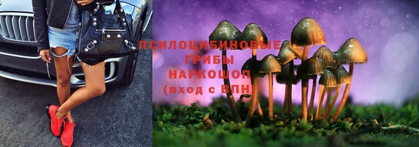 мяу мяу мука Осташков